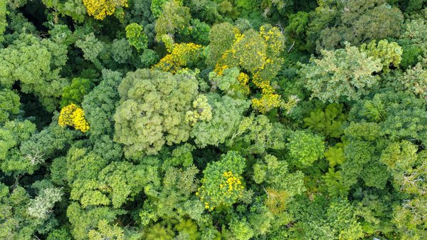 Chicha entre amis : guide pour une soirée réussie