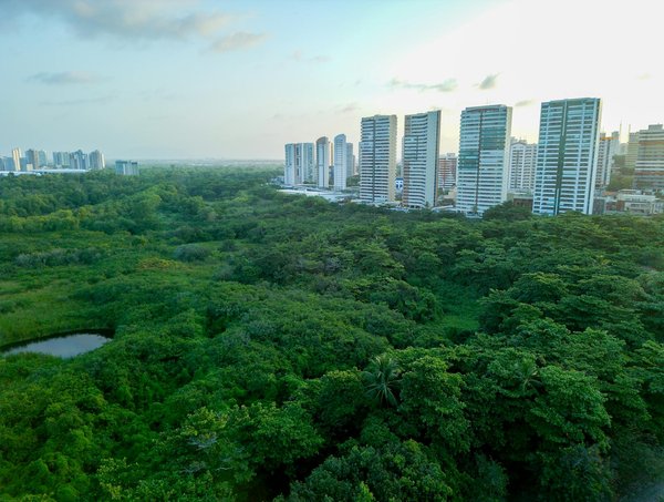 Comment planifier une randonnée immersive avec des guides audio sur l'histoire locale ?