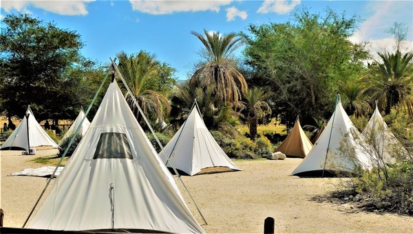 Glamping : Combinez confort et aventure pour vos vacances