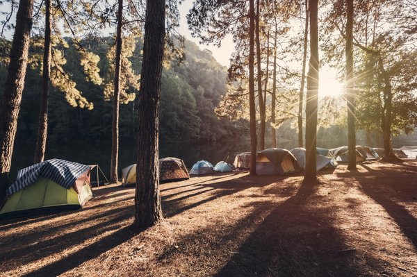 Camping dans les Landes : pour un maximum détente et de bien-être