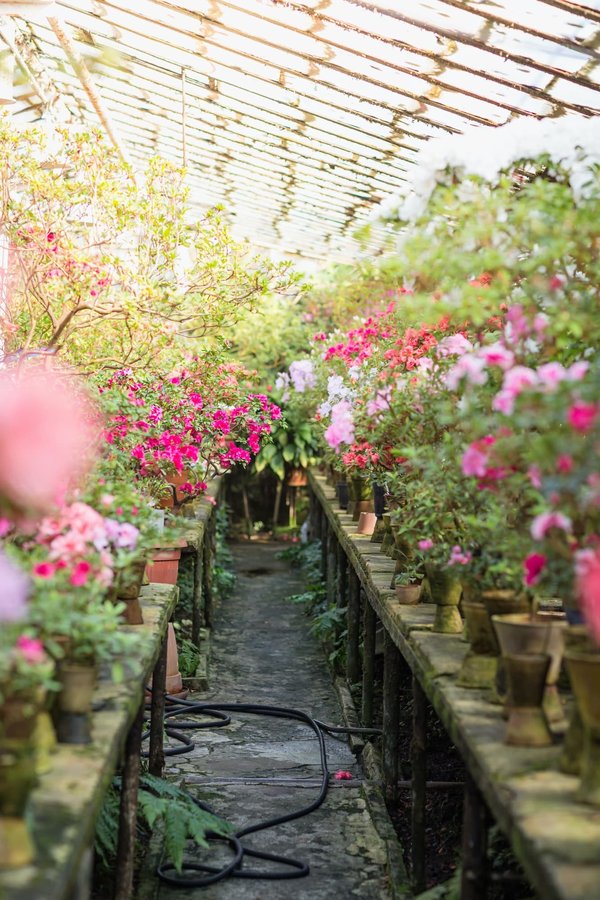 Quels sont les avantages des vases et pots de fleurs dans la décoration de jardin?
