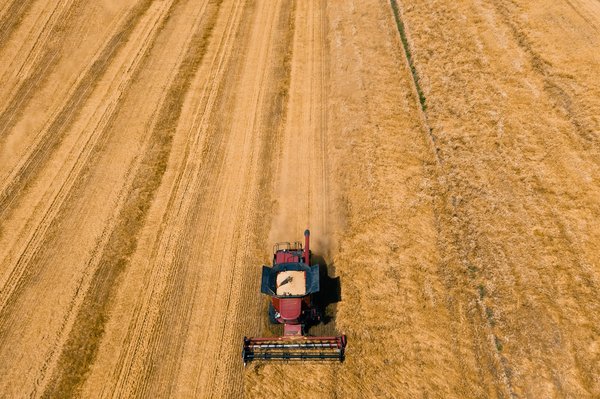Comment les agroéquipements contribuent-ils à l'efficacité énergétique dans l'agriculture ?