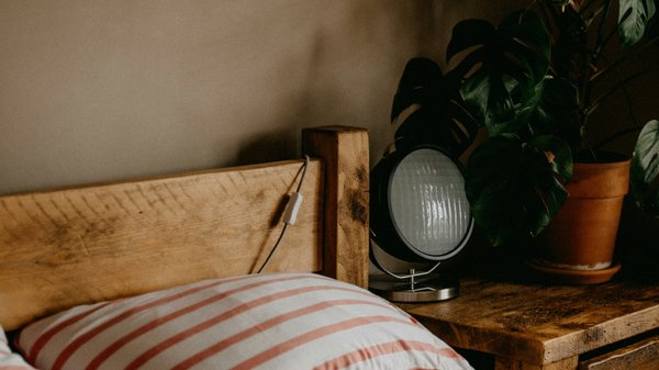 Guide sur l'élimination des punaises de lit par un expert