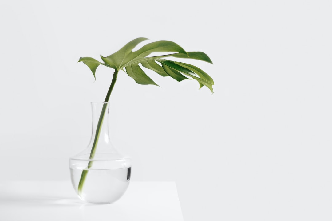 Comment nettoyer une vieille table en bois ciré ?